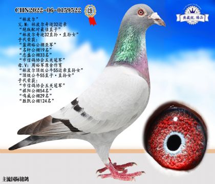 林波爾近親