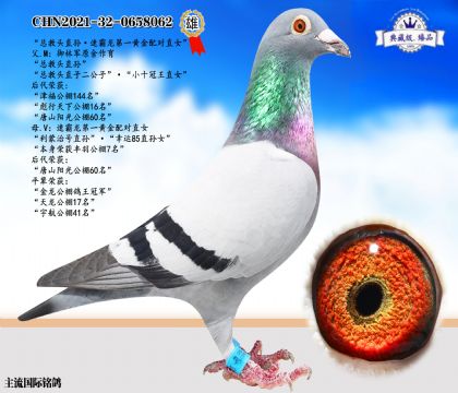 總教頭直孫·速霸龍黃金配對(duì)直女