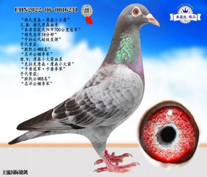 謝氏詹森
