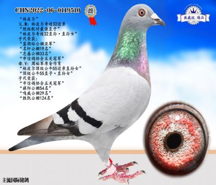 林波爾