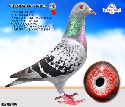東方不敗神奇188