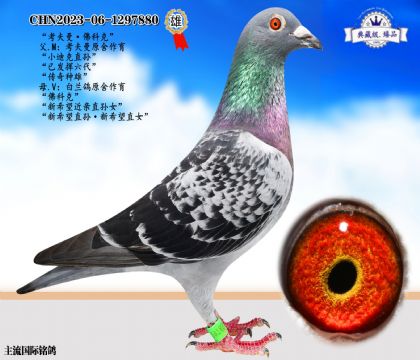考夫曼·佛科克