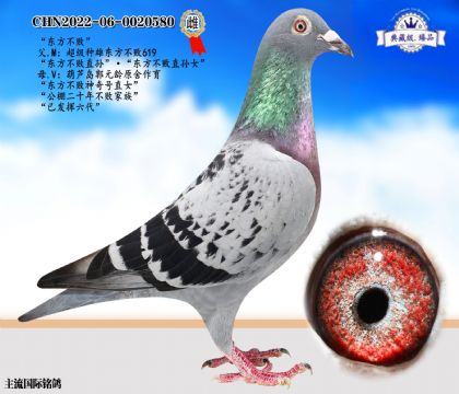 東方不敗近親