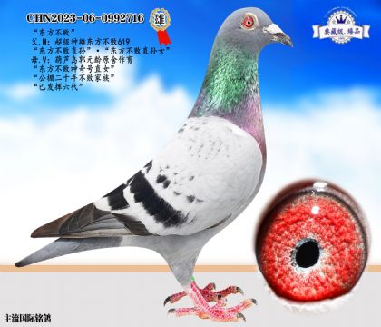 東方不敗近親