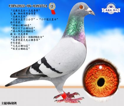 總教頭近親