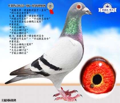 速霸龍黃金配對(duì)直子·直女