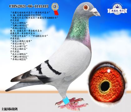 速霸龍超級(jí)配對(duì)直子·黃金配對(duì)直女