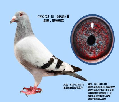 范登布克好紅號(hào)X基特爾006