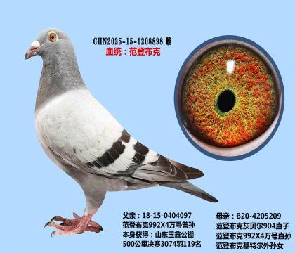 范登布克992X四萬(wàn)號(hào)