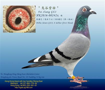 ĸ