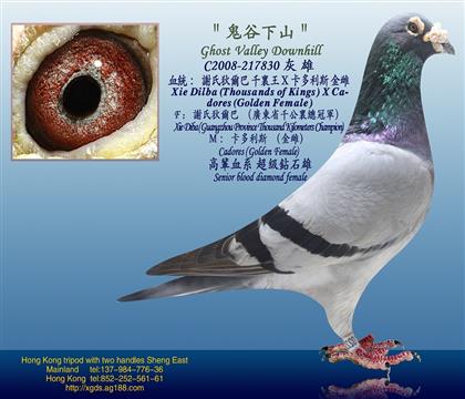游