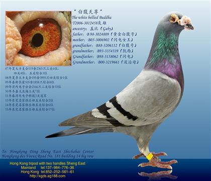游