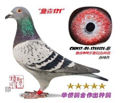 4̖--ղɭ019ѪN-1355121-