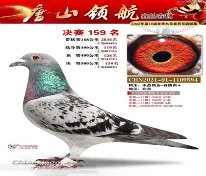 ɽIِ500Qِ159   	