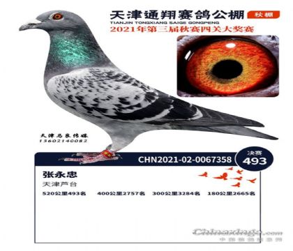 J_Wx--Wxͨ蹫520Qِ493   
