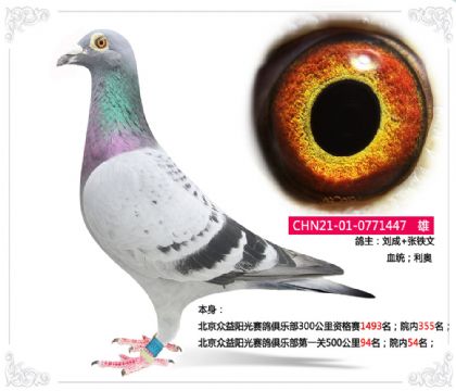 ꖹِ㘷һP500Ժ(ni)54   
