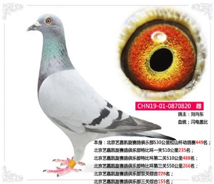 |-ˇ΄Pِ㘷PC155  	