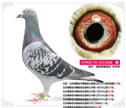 ̩Aِ㘷رȭh(hun)PC215   	