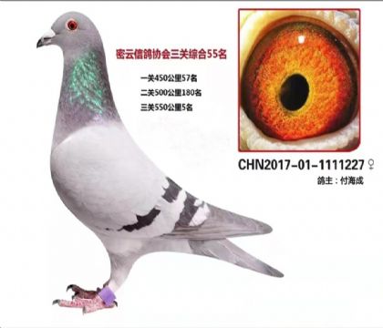 ƽȲِ㘷رȭh(hun)PC55   	