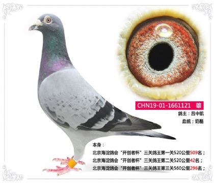 _(chung)߱PڶP52042