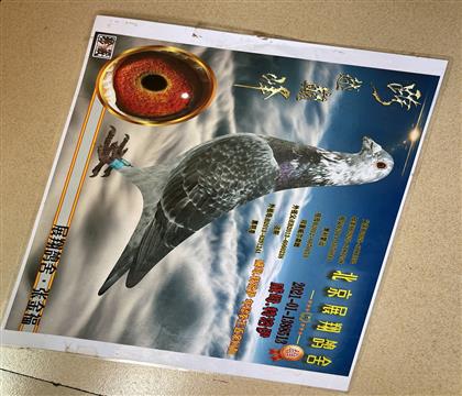 ƬSl(f)؛
