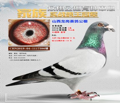 ǲ3865