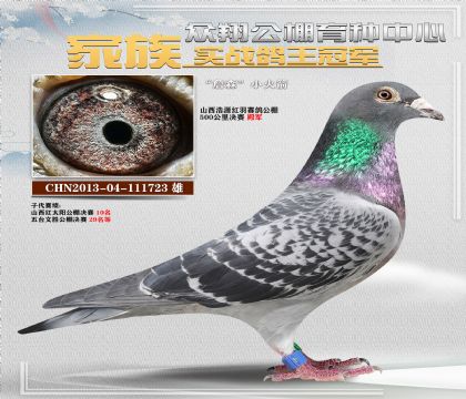 ղɭС7234