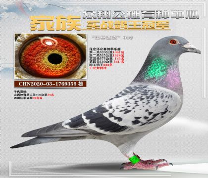 575Wƥ003h(hun)ر233