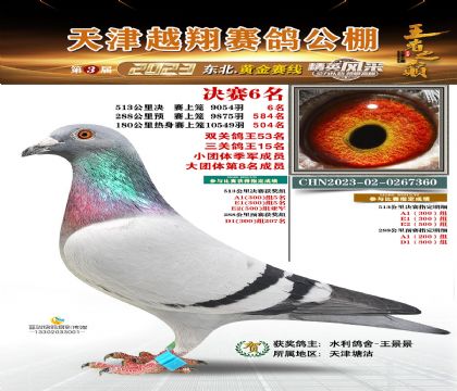 6360