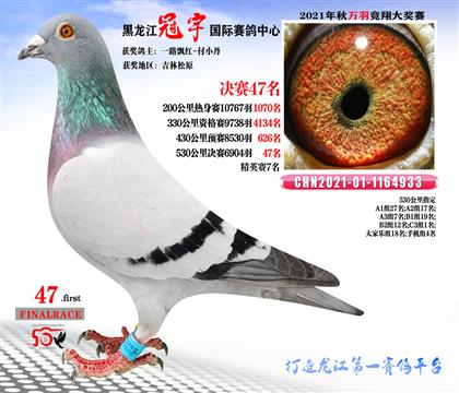 Ƭ