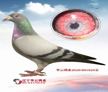 㘷3004 5007ֲٻʵ ֱ