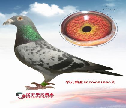 ΨһСϿýHѪXɣʿN
