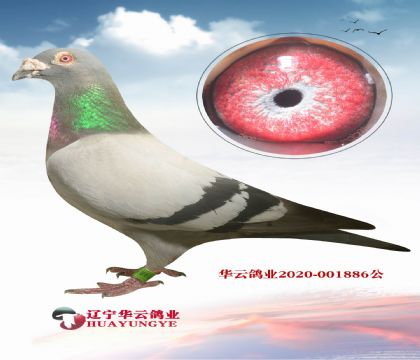 ֲz֮XֲE䌦 ֱŮ
