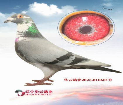 _̩˹XӢ˹ Ĳ۵Ѫϵ 䌦^l(f)]