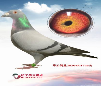 ϵ777Xĸ