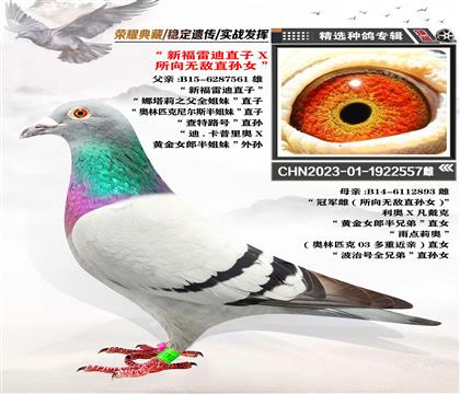 ”新福雷迪直子X所向無敵直孫女“