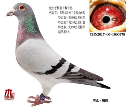 C9H