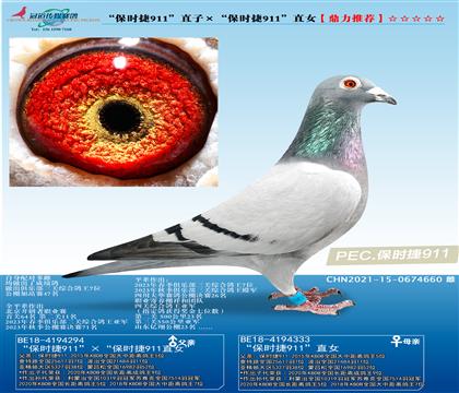 r(sh)911ֱӡr(sh)911ֱŮ