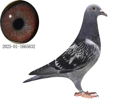 ܊O632