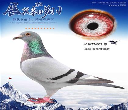 私環(huán)麥克甘納斯002