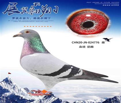 奶酪薪金姆直女作出776