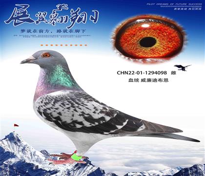 威廉迪布恩098