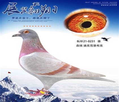 私環(huán)迪克范登布克231