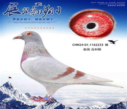 速度狂魔當(dāng)科斯233