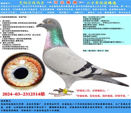 lһNʼ{˹RD˹Xy(tng)̖X