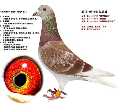 (yu)NϿ.ǲˡ堖ֱӡXؠֱŮ