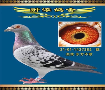 贏錢過億的血系東方不敗282