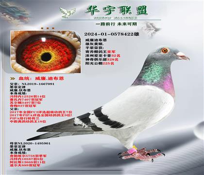 威廉迪布恩 墨菲定律直孫 家族獲獎數(shù)羽