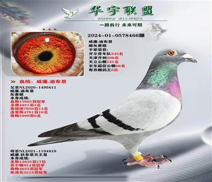 墨菲定律X天王星 超強溶血