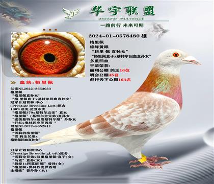 格里佩 雙重回血 家族發(fā)揮強大